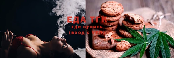 ECSTASY Богданович